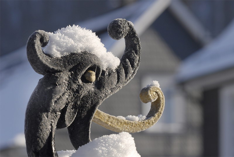 Winter _DDC9050 Kopie.jpg